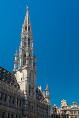 Fototapeta premium The town hall of Brussels