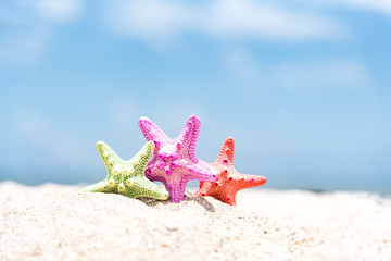 Fototapeta na wymiar Closed up on colorful starfish,beautiful sea shells on the seashore with blue sky background. Vacation and summer conceptual.