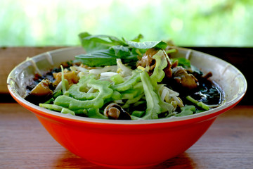 Thai Delicious Chicken Noodle in an Orange Bowl on a Wooden Rack on a Green Leaf Backdrop