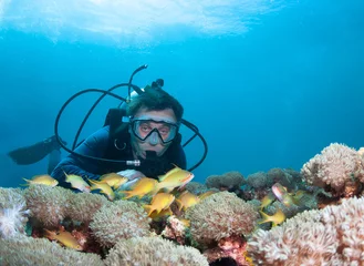 Fotobehang Scuba diver exploreds coral reef  © frantisek hojdysz