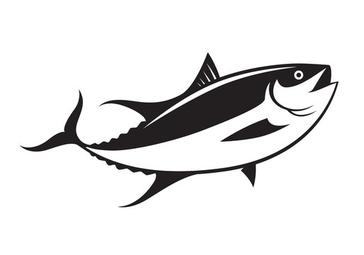 graphic tuna fish, vector