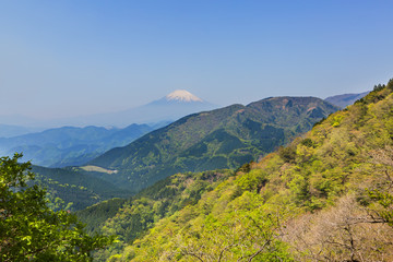 新緑の山と富士山