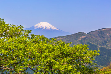 新緑の山と富士山