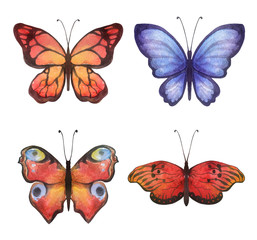 A set of watercolor butterflies.