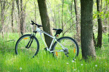 Bicycle stands near a tree among green grass