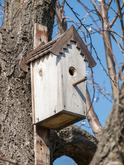 Wooden birdhouse attached to a tree in springtime