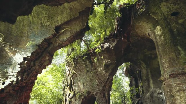 Tilt down and fly inside ruins of old Fort Karang Bolong covered with tree roots and vines in Cilacap, Indonesia