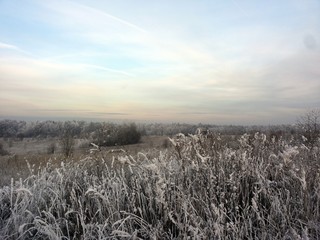 Winter field