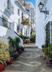 Fototapeta na wymiar fotografía realizada en Frigiliana, Málaga