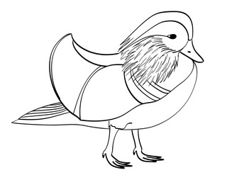 Book coloring for children. Vector bird, Mandarin duck, goose.