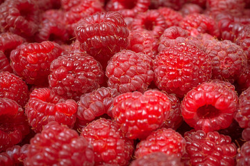 Raspberry fruit background