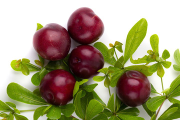 red cherry plum with green leaves isolated on white background