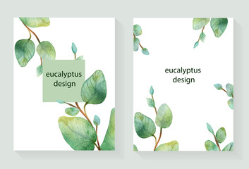Watercolor vector hand painted green floral card with silver dollar eucalyptus.