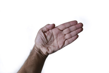 White Hand Highlighted On Neutral Background