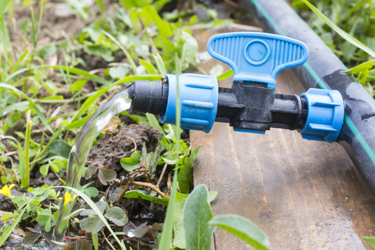 Drip Irrigation System Close Up. 