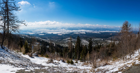 Fototapeta na wymiar Slovakia: View of small tatra (nizke tatry) from the Strbske Pleso. Mountains panorama in far, trees in foreground. Beautiful far look.