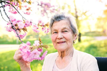 Elderly woman in wheelchair in spring nature.