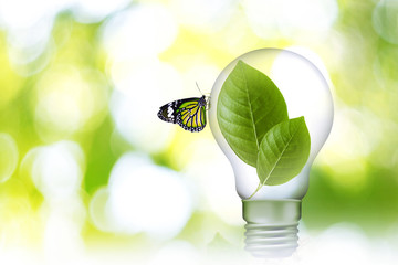 leaf in Lamp 02