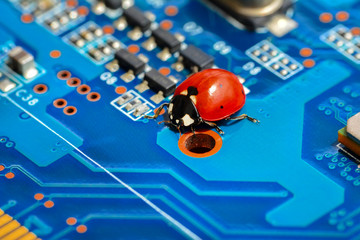 Ladybug and Circuit board background
