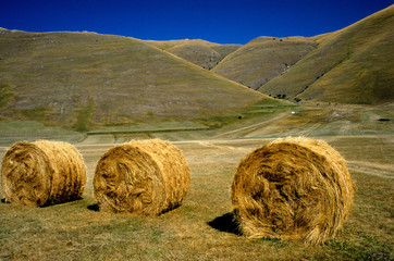 pian grande pianure di castelluccio di norcia parco nazionale monti sibillini perugia umbria