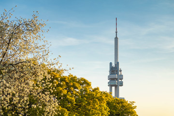 Spring view of famous Zizkov TV tower from Parukarka park, Prague, Czechia