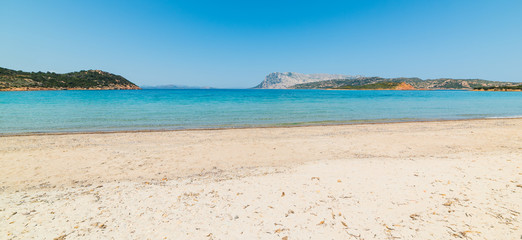 Capo Coda Cavallo shore