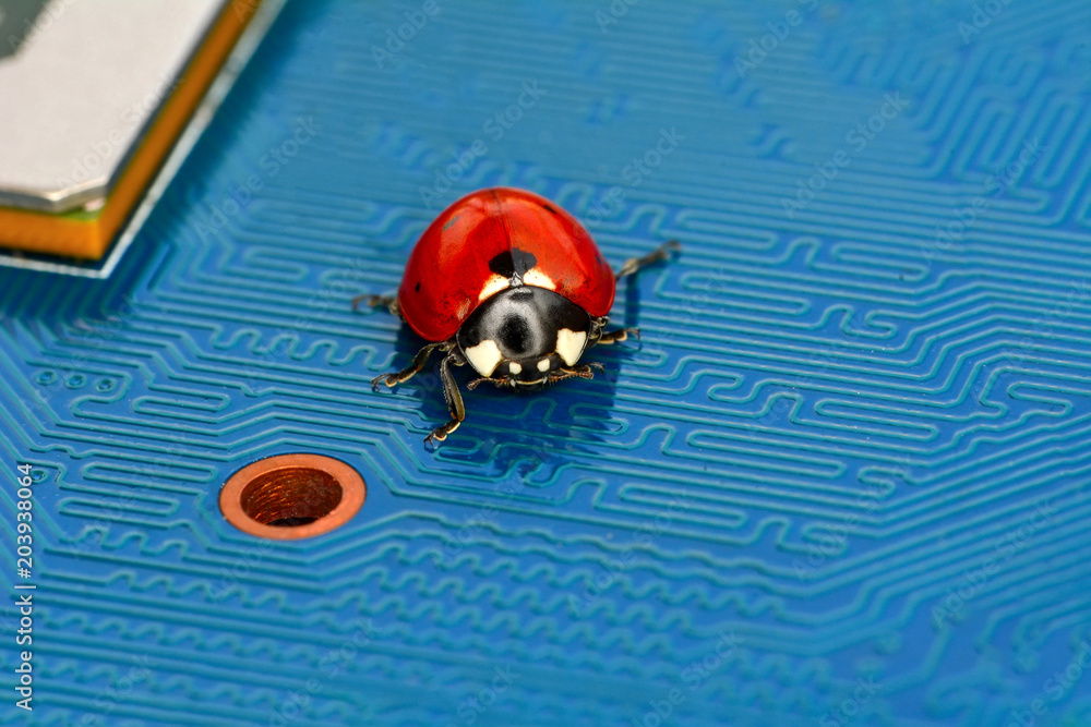 Poster ladybug and circuit board background