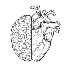 Hand drawn line art human brain and heart halfs - Logic and emotion priority concept. Print or tattoo design isolated on white background vector illustration.