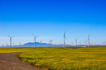 Field Of Energy Producing Wind Mills