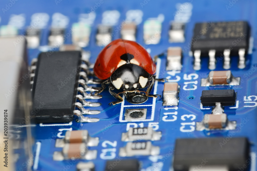 Poster ladybug and circuit board background