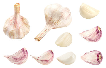 Collection of fresh garlic isolated on white