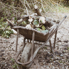 rust wheelbarrow full of wood
