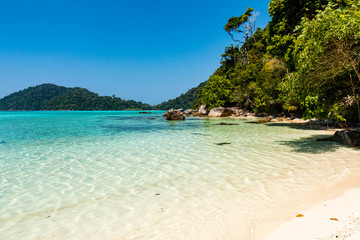 Beautiful empty tropical sandy beach surrounded by lush vegetation and jungle