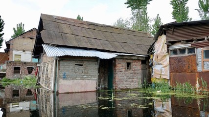 Hausboote und Häuser im Dal See in Kashmir, Indien