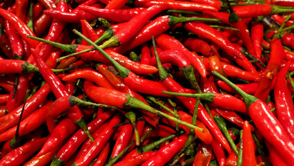 Many colorful hot spicy organic chilli
