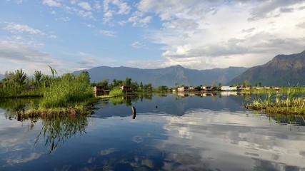 Fototapeta premium Hausboote und Häuser im Dal See in Kashmir, Indien