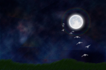 Obraz na płótnie Canvas To The Moon