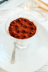 Italian dessert tiramisu
