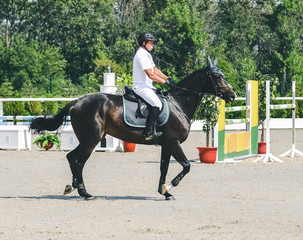 Showjumping competition, bay horse and rider in white uniform performing jump over the bridle....