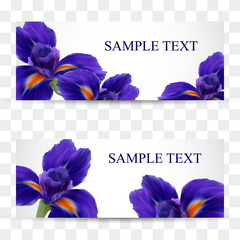 A set of cards or postcards with realistic iris flowers