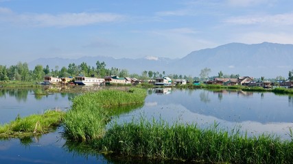 Fototapeta premium Dal See Landschaft in Kashmir, Indien 