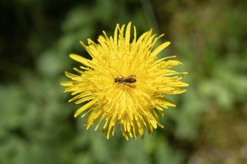 Frühling