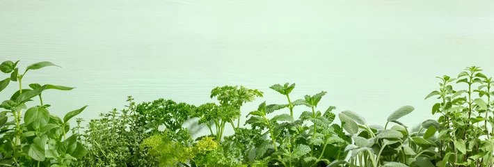 Photo sur Plexiglas Aromatique Herbes