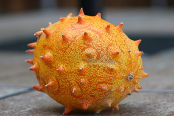 Closeup of a whole kiwano horned melon 