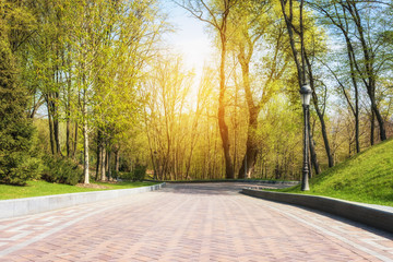 Green spring sunny city park with road and beautiful trees alley - obrazy, fototapety, plakaty
