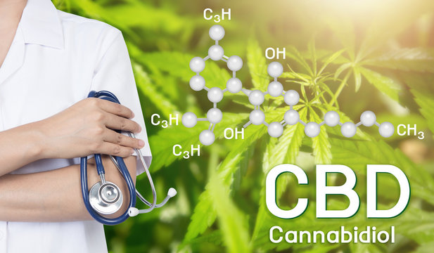 CBD: The Ultimate Guide to Finding the Right Product for You! Pain Relief Powerfully Explained