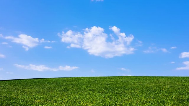 Green field and cloudy blue sky summer landscape time-lapse video