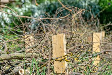 Fence of wood branches