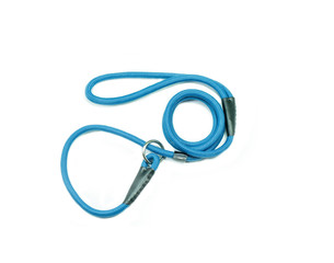 Blue pet leash on isolated white background.  Pet accessories concept.