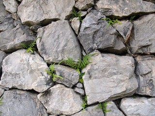 old rock wall for background